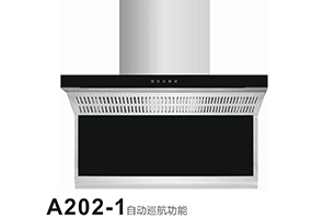 A202-1