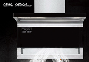 A202A A202A-1