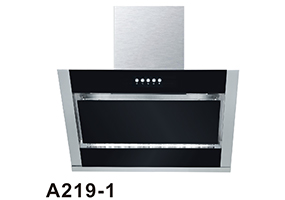 A219-1