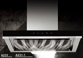 A231 A231-1