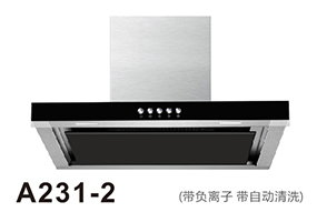 A231-2