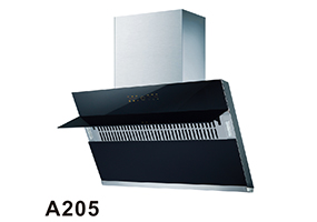 A205