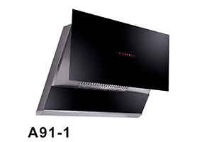 A91-1