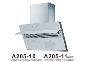 A205-10 A205-11