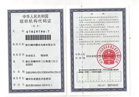 Enterprise organization code
