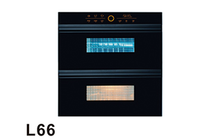 L66