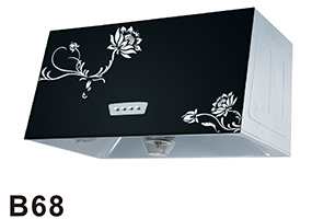 B68