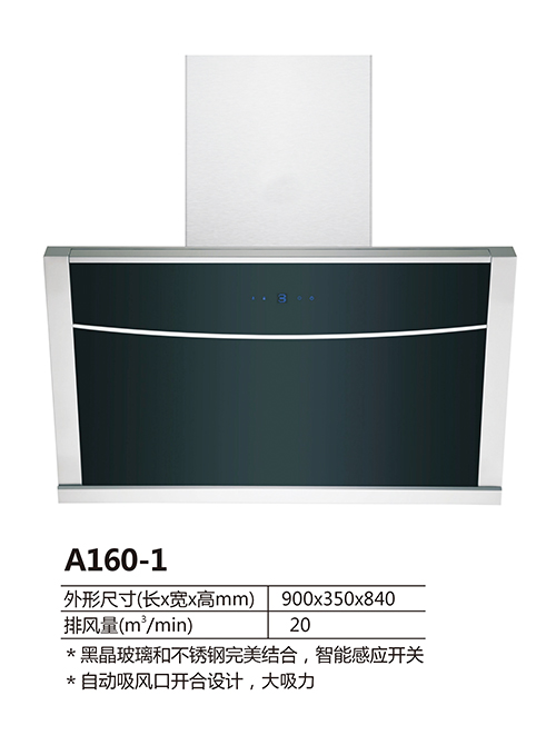 A161-1d.jpg