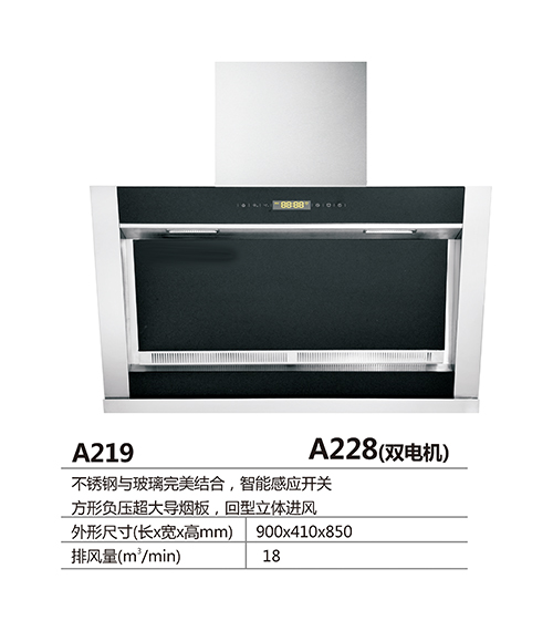 A219d.jpg